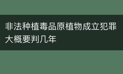 非法种植毒品原植物成立犯罪大概要判几年