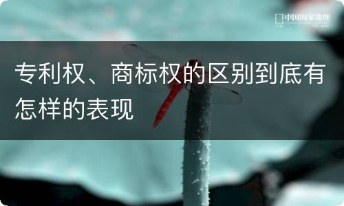 专利权、商标权的区别到底有怎样的表现