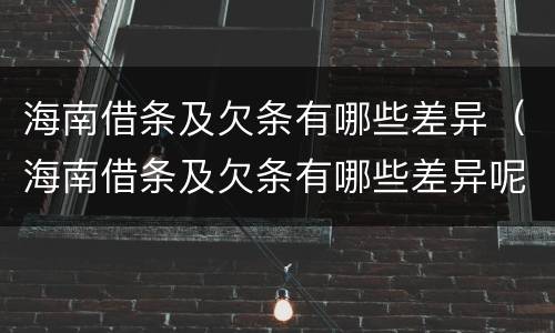 海南借条及欠条有哪些差异（海南借条及欠条有哪些差异呢）