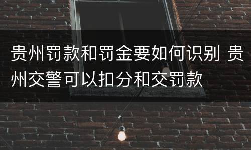 贵州罚款和罚金要如何识别 贵州交警可以扣分和交罚款