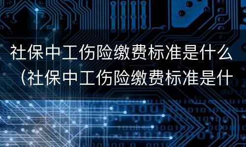 社保中工伤险缴费标准是什么（社保中工伤险缴费标准是什么意思）
