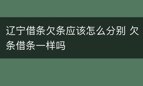 辽宁借条欠条应该怎么分别 欠条借条一样吗