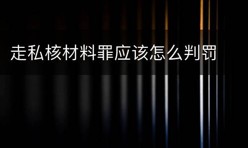 走私核材料罪应该怎么判罚