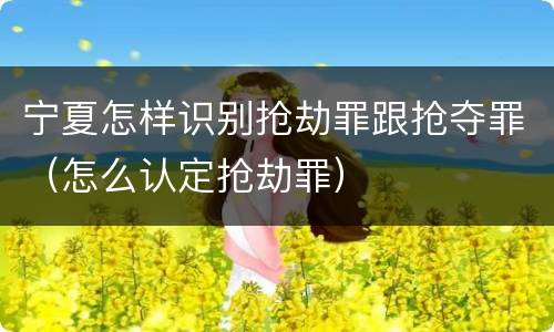 宁夏怎样识别抢劫罪跟抢夺罪（怎么认定抢劫罪）