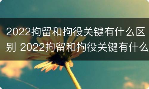 2022拘留和拘役关键有什么区别 2022拘留和拘役关键有什么区别呢
