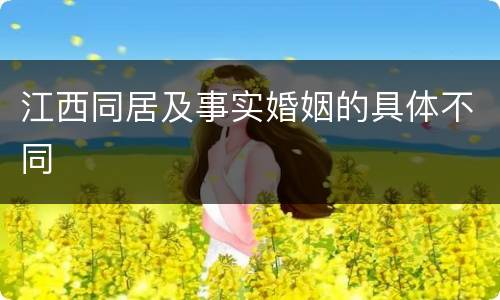 江西同居及事实婚姻的具体不同