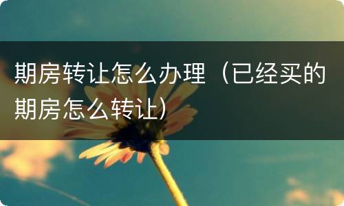 期房转让怎么办理（已经买的期房怎么转让）