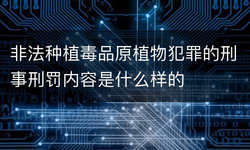 非法种植毒品原植物犯罪的刑事刑罚内容是什么样的