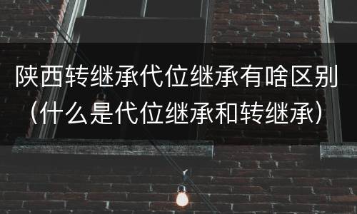 陕西转继承代位继承有啥区别（什么是代位继承和转继承）