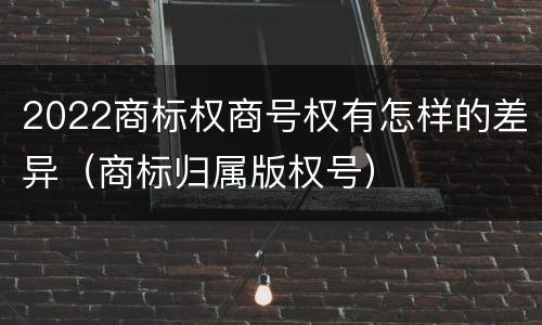 2022商标权商号权有怎样的差异（商标归属版权号）