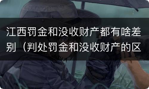 江西罚金和没收财产都有啥差别（判处罚金和没收财产的区别）