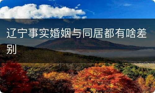辽宁事实婚姻与同居都有啥差别