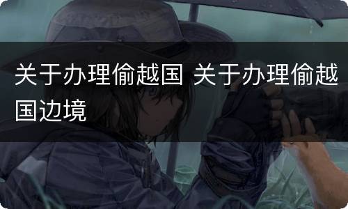 关于办理偷越国 关于办理偷越国边境