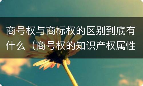 商号权与商标权的区别到底有什么（商号权的知识产权属性）