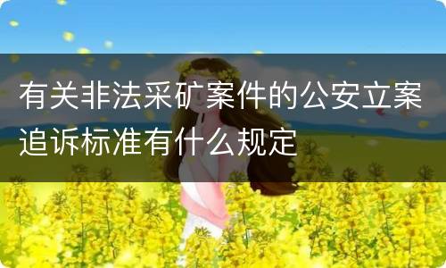 有关非法采矿案件的公安立案追诉标准有什么规定