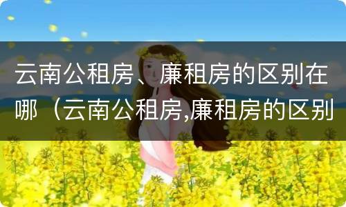 云南公租房、廉租房的区别在哪（云南公租房,廉租房的区别在哪儿）