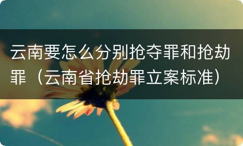 云南要怎么分别抢夺罪和抢劫罪（云南省抢劫罪立案标准）