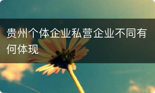 贵州个体企业私营企业不同有何体现