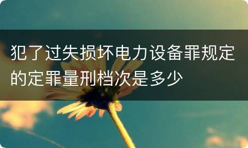 犯了过失损坏电力设备罪规定的定罪量刑档次是多少