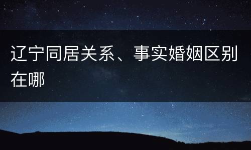 辽宁同居关系、事实婚姻区别在哪