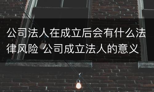 公司法人在成立后会有什么法律风险 公司成立法人的意义
