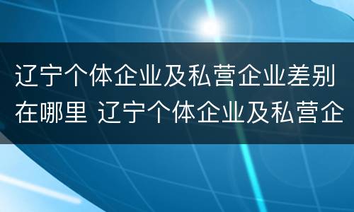 辽宁个体企业及私营企业差别在哪里 辽宁个体企业及私营企业差别在哪里查