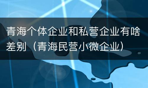 青海个体企业和私营企业有啥差别（青海民营小微企业）