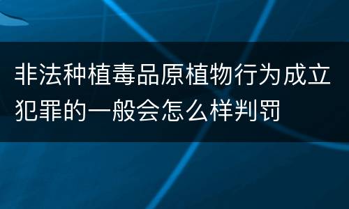 非法种植毒品原植物行为成立犯罪的一般会怎么样判罚
