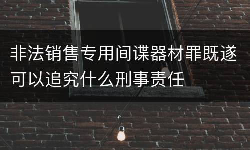非法销售专用间谍器材罪既遂可以追究什么刑事责任