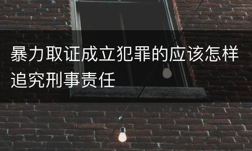 暴力取证成立犯罪的应该怎样追究刑事责任
