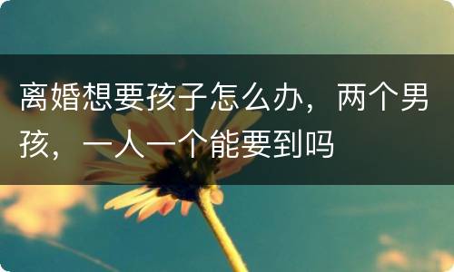 离婚想要孩子怎么办，两个男孩，一人一个能要到吗