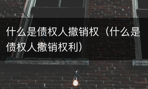 什么是债权人撤销权（什么是债权人撤销权利）