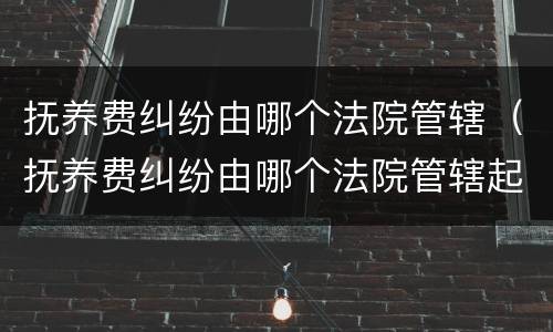 抚养费纠纷由哪个法院管辖（抚养费纠纷由哪个法院管辖起诉）