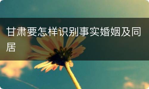 甘肃要怎样识别事实婚姻及同居