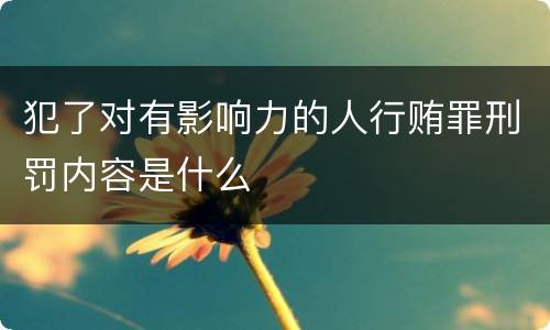 犯了对有影响力的人行贿罪刑罚内容是什么
