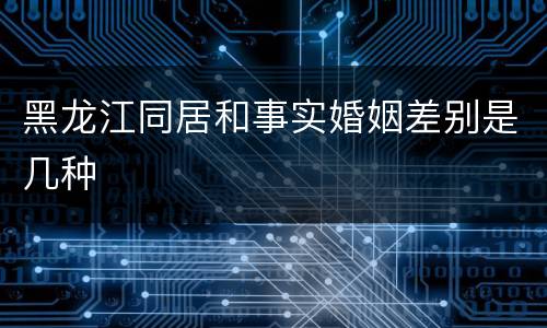 黑龙江同居和事实婚姻差别是几种