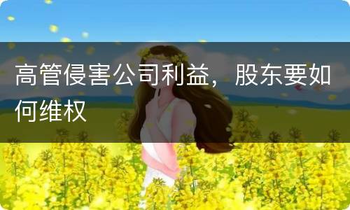 高管侵害公司利益，股东要如何维权
