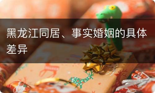黑龙江同居、事实婚姻的具体差异