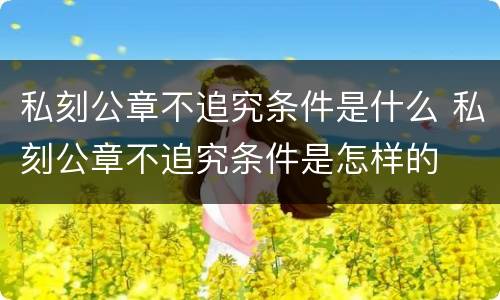 私刻公章不追究条件是什么 私刻公章不追究条件是怎样的