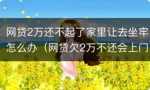 网贷2万还不起了家里让去坐牢怎么办（网贷欠2万不还会上门吗）
