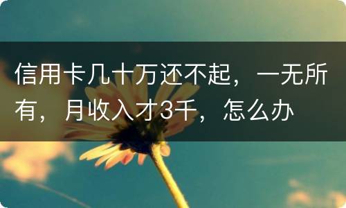 信用卡几十万还不起，一无所有，月收入才3千，怎么办