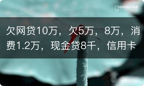 欠网贷10万，欠5万，8万，消费1.2万，现金贷8千，信用卡5万怎么办