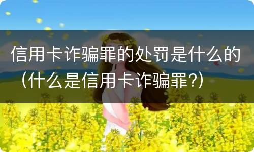 信用卡诈骗罪的处罚是什么的（什么是信用卡诈骗罪?）