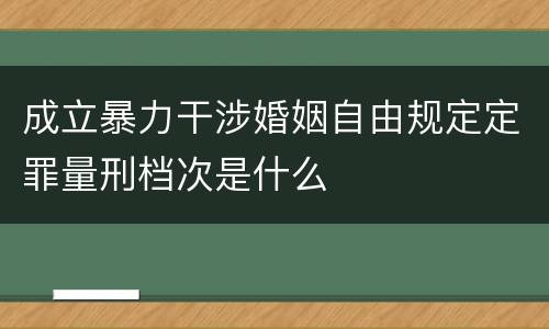 成立暴力干涉婚姻自由规定定罪量刑档次是什么