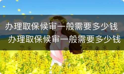 办理取保候审一般需要多少钱 办理取保候审一般需要多少钱费用
