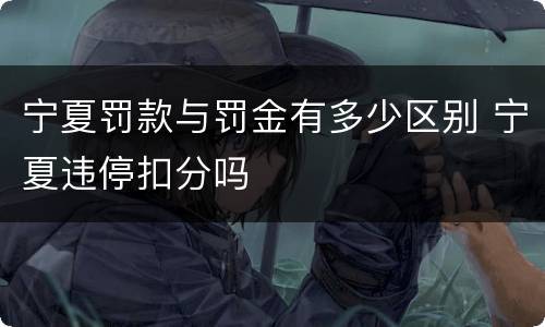 宁夏罚款与罚金有多少区别 宁夏违停扣分吗