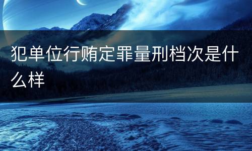 犯单位行贿定罪量刑档次是什么样