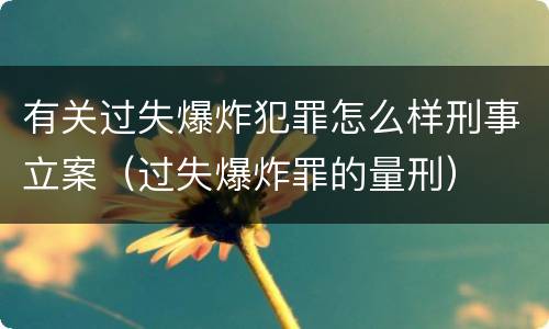 有关过失爆炸犯罪怎么样刑事立案（过失爆炸罪的量刑）