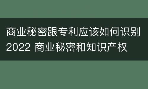 商业秘密跟专利应该如何识别2022 商业秘密和知识产权