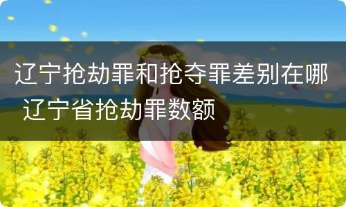 辽宁抢劫罪和抢夺罪差别在哪 辽宁省抢劫罪数额
